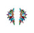 Multi Color Feather Earrings